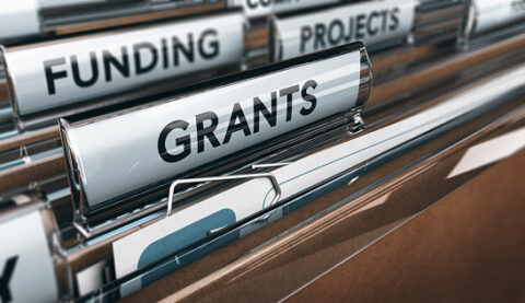 grants to startup files