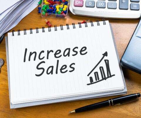increased sales and revenue for help of consulting team